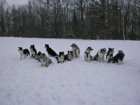 19.12.2010 - Sraz AUO v Hostivaři